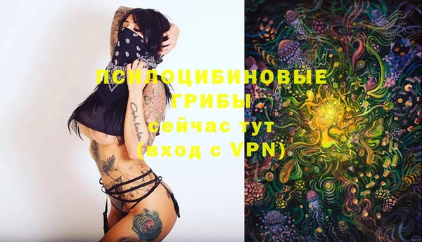 гидропоника Балабаново